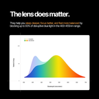 Nocturnal | Tortoise